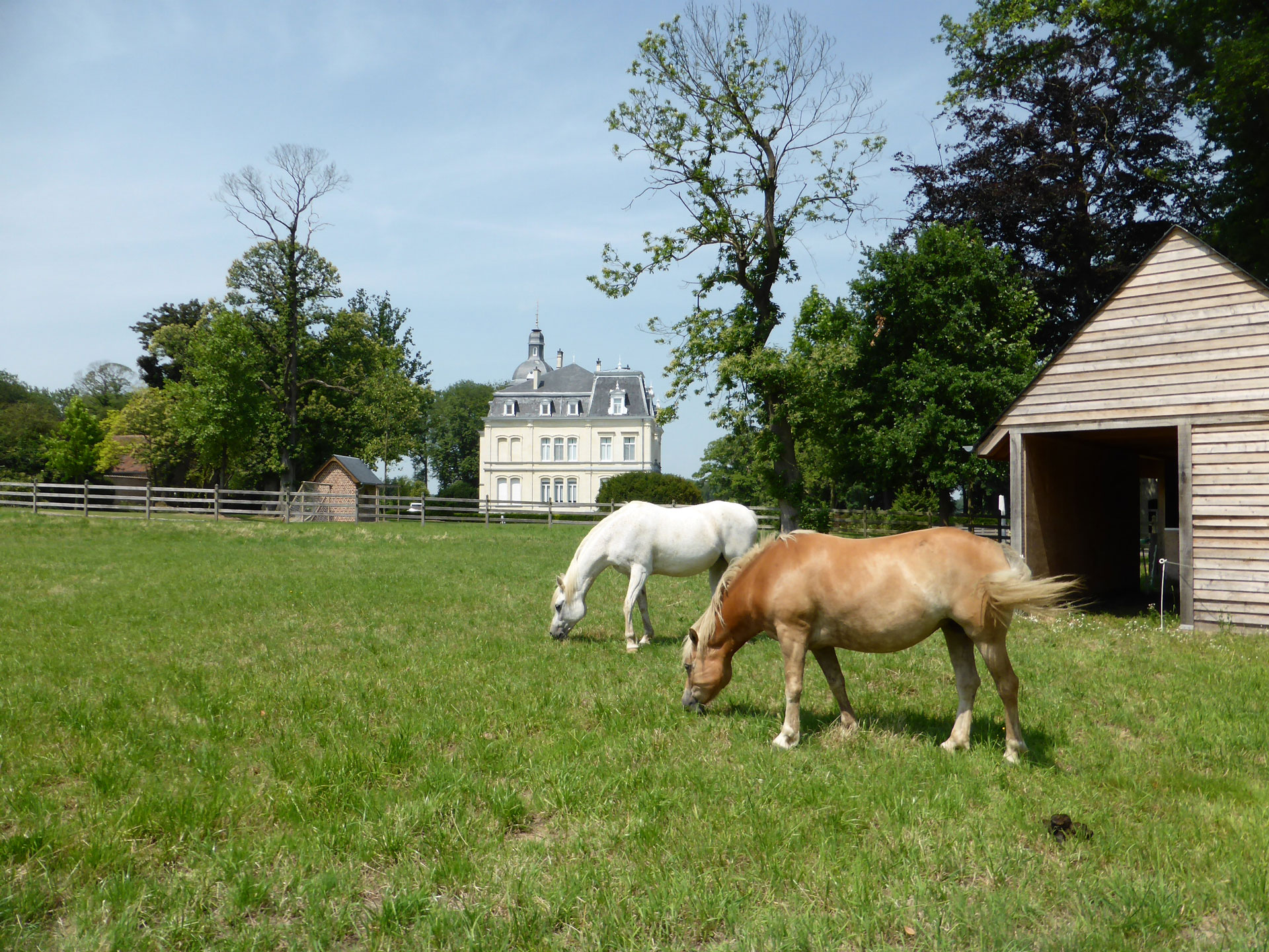Samen vinden we de woning van uw dromen